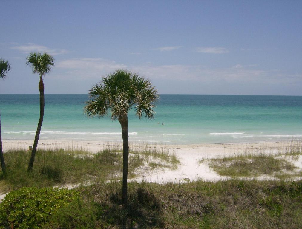 Club Bamboo South - Bradenton Beach Bagian luar foto